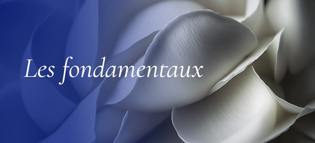 fondamentaux